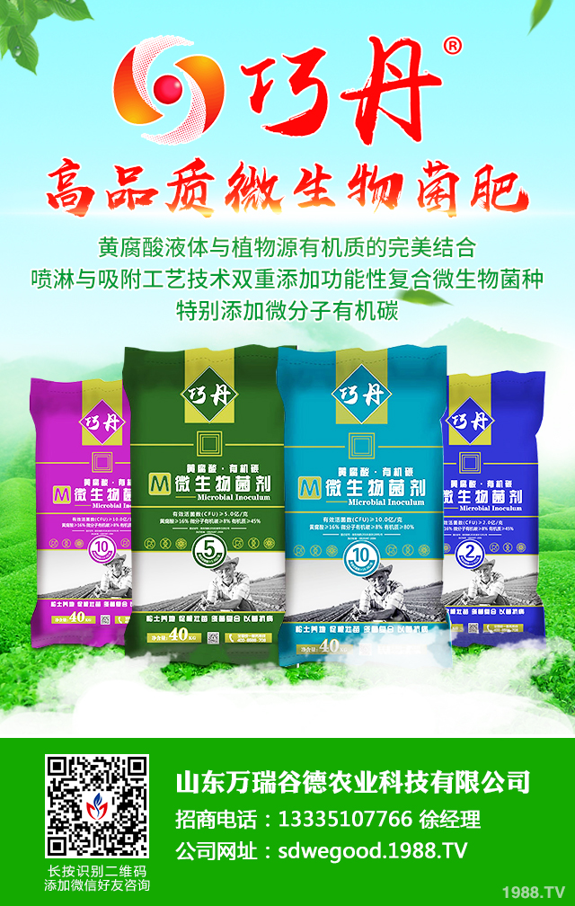 絲瓜早衰怎么防治效果好?絲瓜早衰防治方法