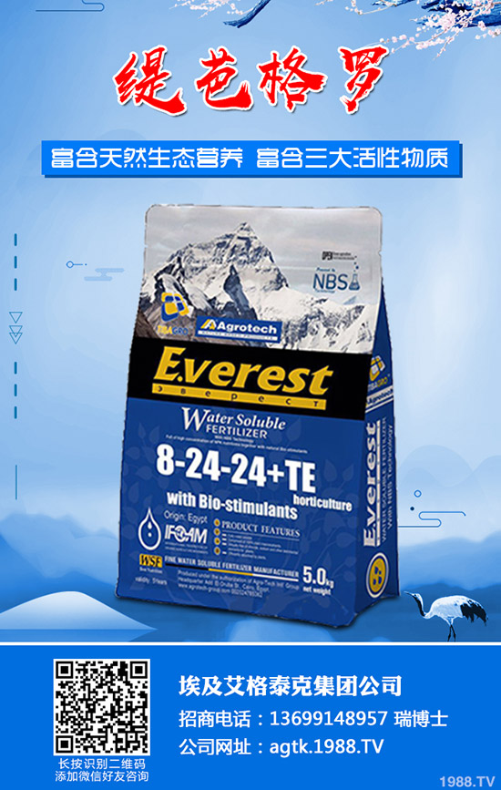 ����ʲô�r(sh��)�g�������������緽��