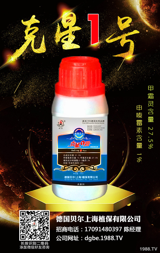 秋蘿卜霜霉病來襲,到底該如何防治?快來看看吧!