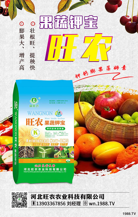 ��������ķNֲ�r�g������������������Ҫ�c����Щ��