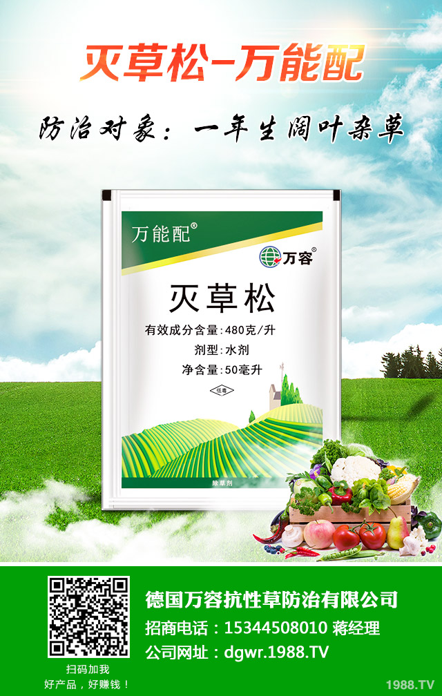 ����������ô����Ч�������������ﻯ�W���ݼ���