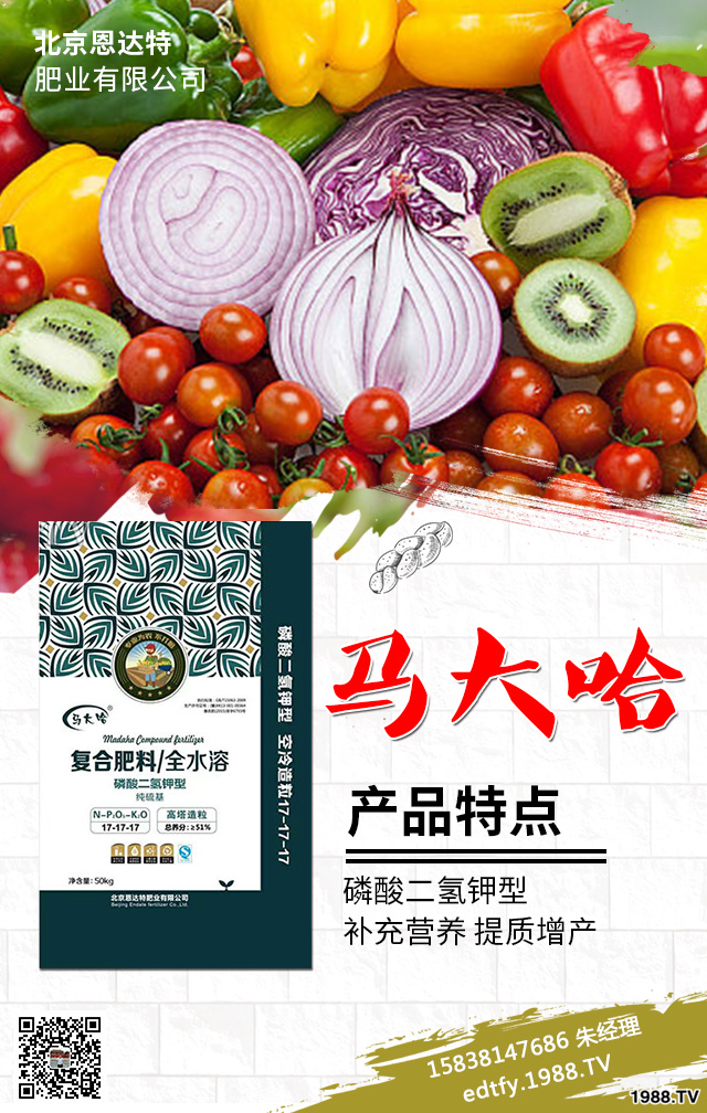 �����߲�ʩ���д�����Щ���}�������߲˷Nֲ���g(sh��)