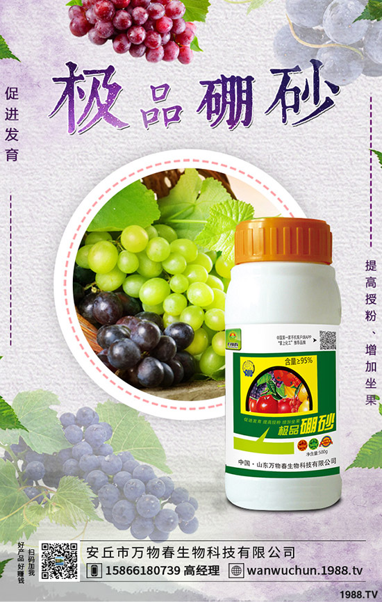 �����ηNֲ����轷Nֲ�l������Щ��