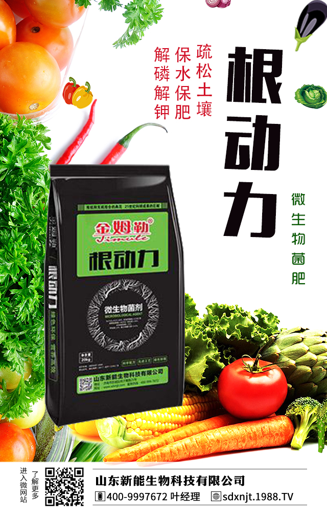 �R��������������νo�R���ʩ����