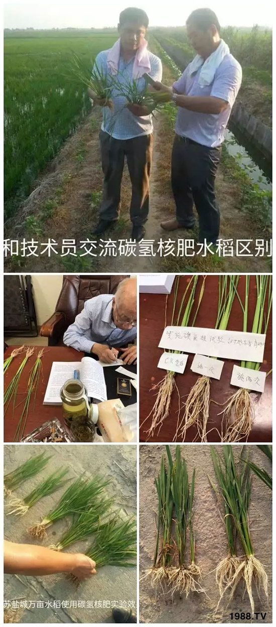 �ϰټ�ý�w��������쳬�^�W��ʳƷ��(bi��o)��(zh��n)������̼?x��)�˷ʾ����@ô�𱬣�