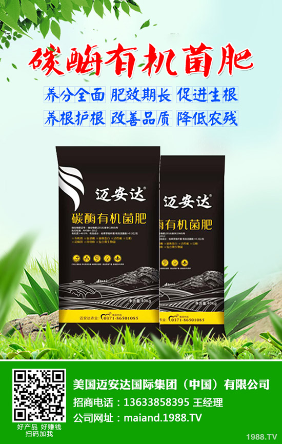 ����ʲô�r��N���������N��ע����Щ���}��