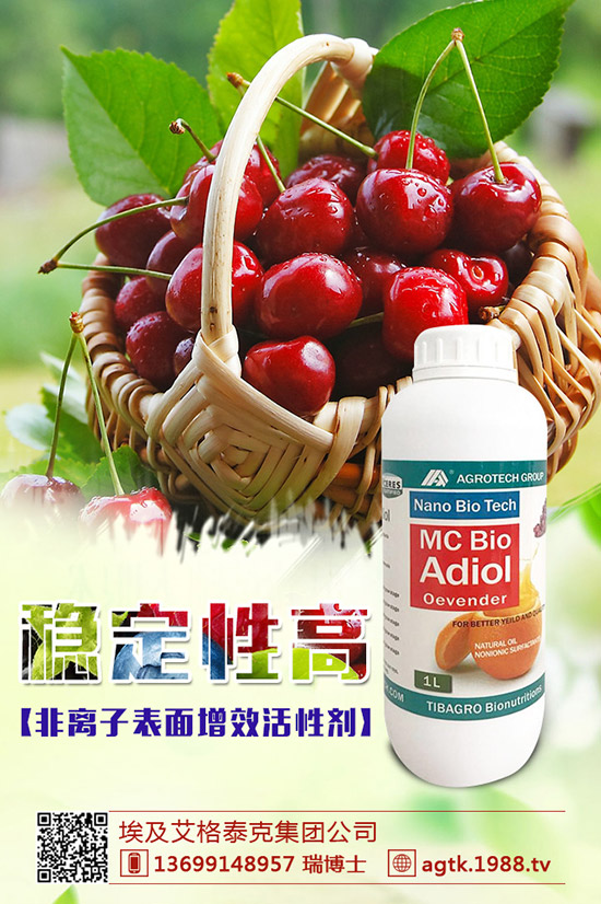 金銀花怎樣種好,金銀花種植要點(diǎn)!