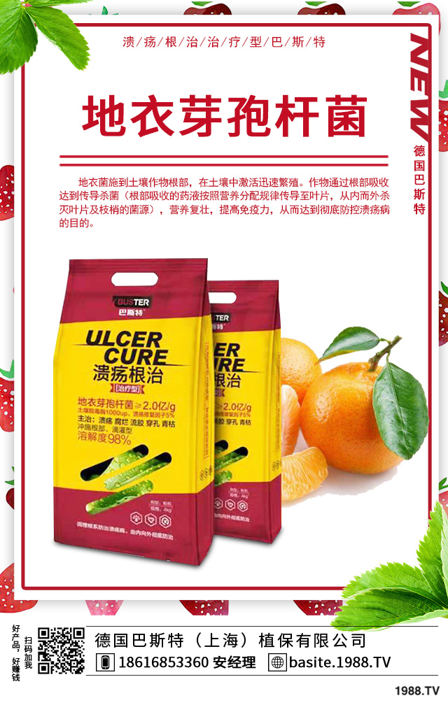 ���F���~�����ô�k�����F���~��ݲ��򼰷���