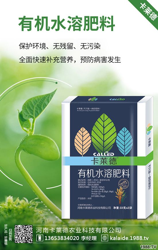 �G�}�L��̫�L��ô�k���G�}���޼���������Щ��