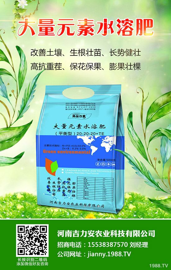 ����ʲô�r��N������Nֲ��������