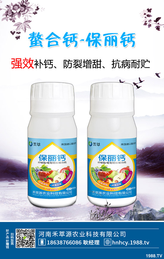 木耳菜怎么種,木耳菜種植時間和種植方法!