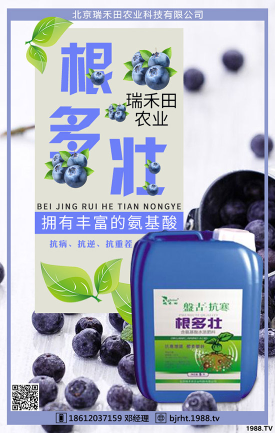 ���t��ʲô�r�g�Nֲ�����t���Nֲ����