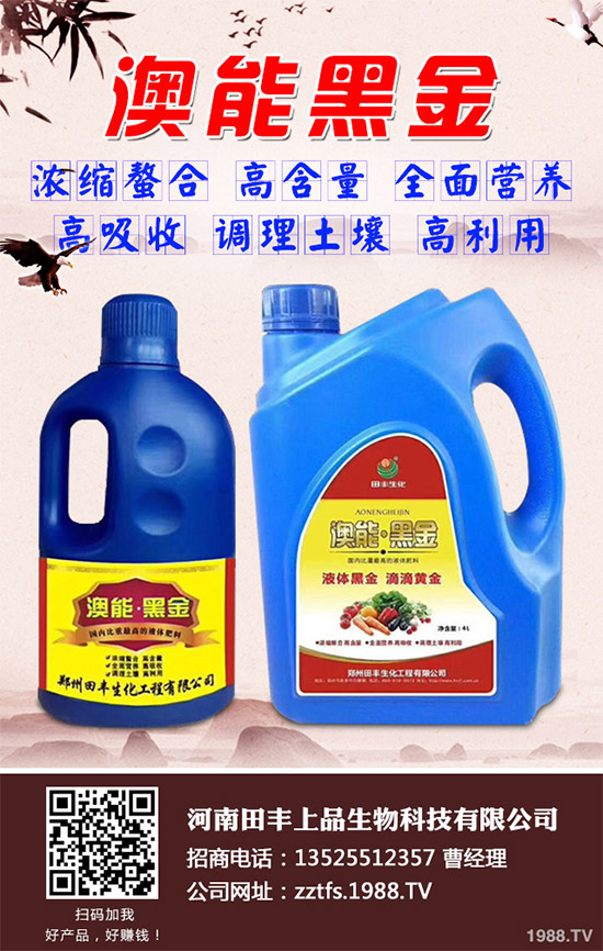 ���Ĳ�����Щ�I�B(y��ng)�rֵ���Ծ��Ĳ�����Щ��̎������Գ�������