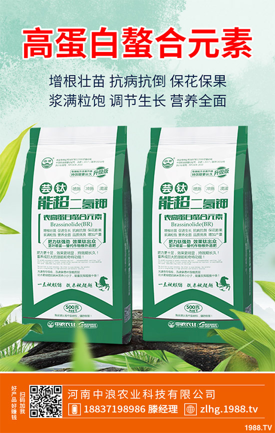 露地卷心菜什么時候種植?露地卷心菜種植技術(shù)大全