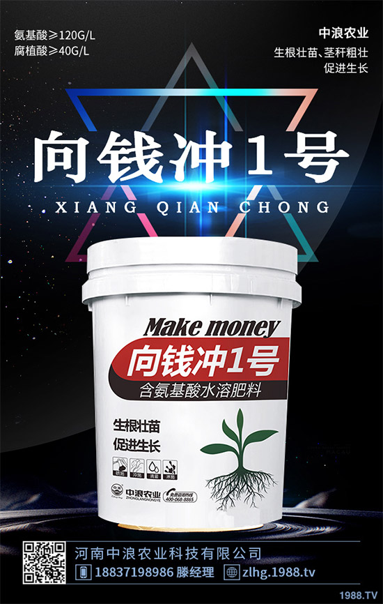 露地卷心菜什么時候種植?露地卷心菜種植技術(shù)大全