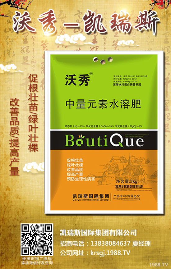 西蘭花什么時(shí)候種植?該怎么種?2019年西蘭花種植前景分析