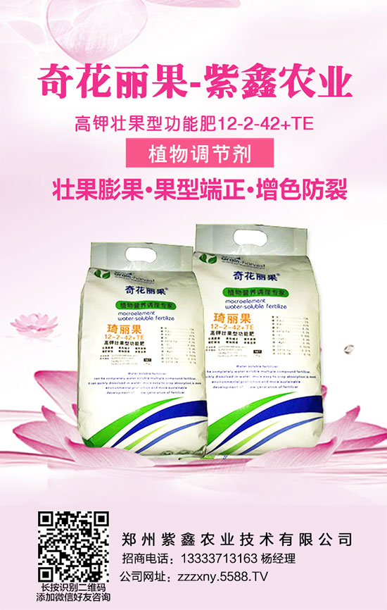 黃瓜施肥時(shí)的五大避免,大家知道嗎?