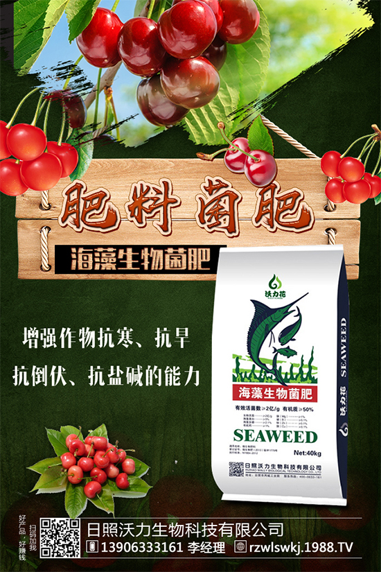 ������ôʩ����ʩʲô����������ʩ��Ҫ�c��