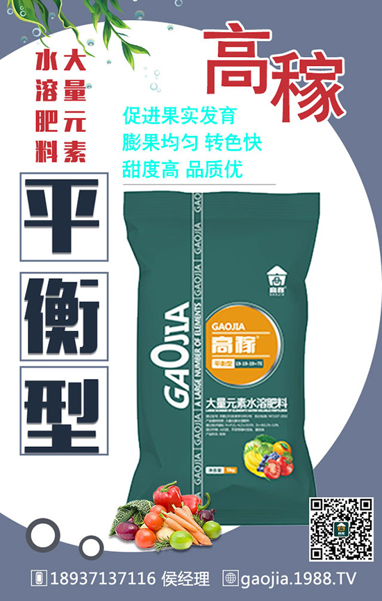 ������_�Ľo���ʩ������ôʩ����ʩʲô����