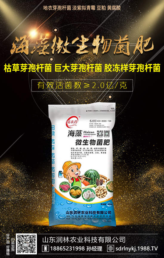 龍眼種植有三大要求,種植龍眼要考慮!