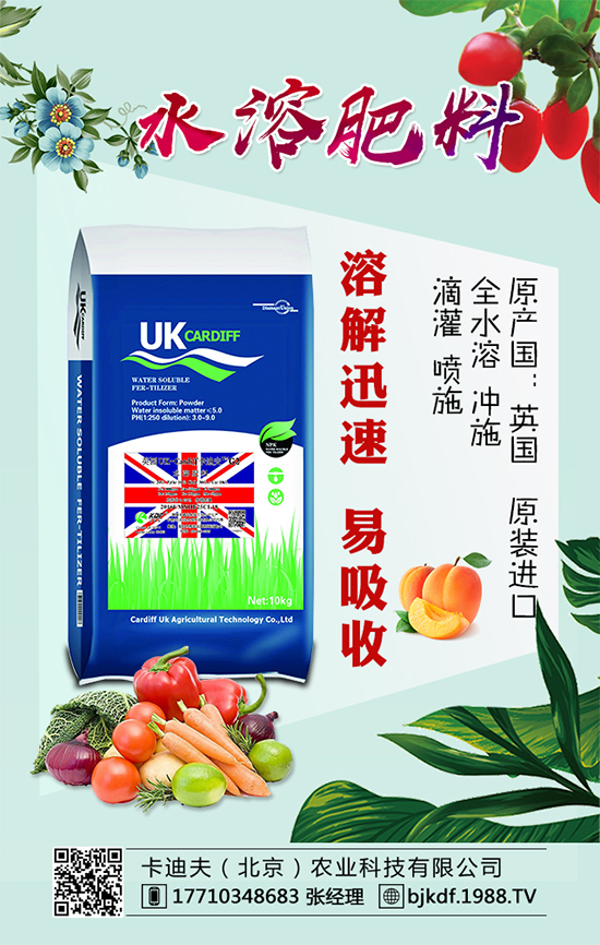 黃花菜要怎么種植?黃花菜對(duì)環(huán)境條件的要求!