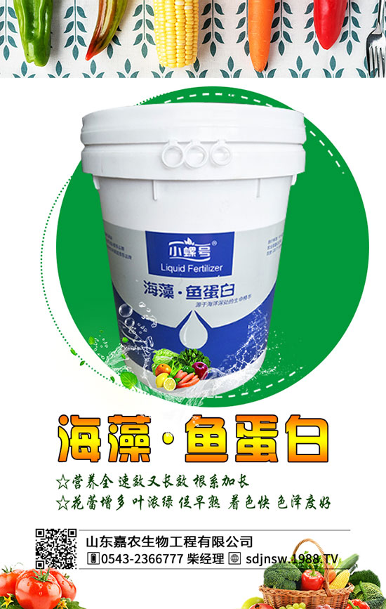 黃花菜什么季節(jié)種植好？2020年黃花菜種植前景及利潤(rùn)分析！