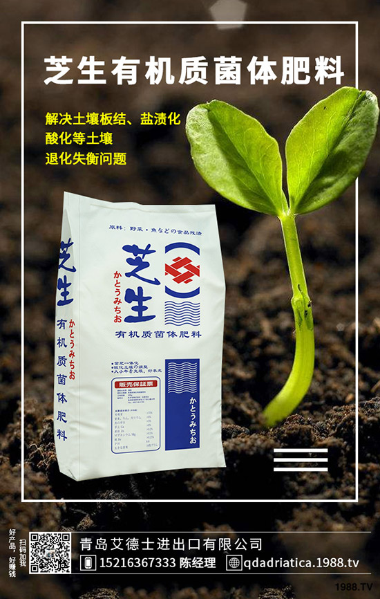 ��������Щ�I�B(y��ng)�r(ji��)ֵ�����ҵĹ�Ч�c������ʲô������xُ��