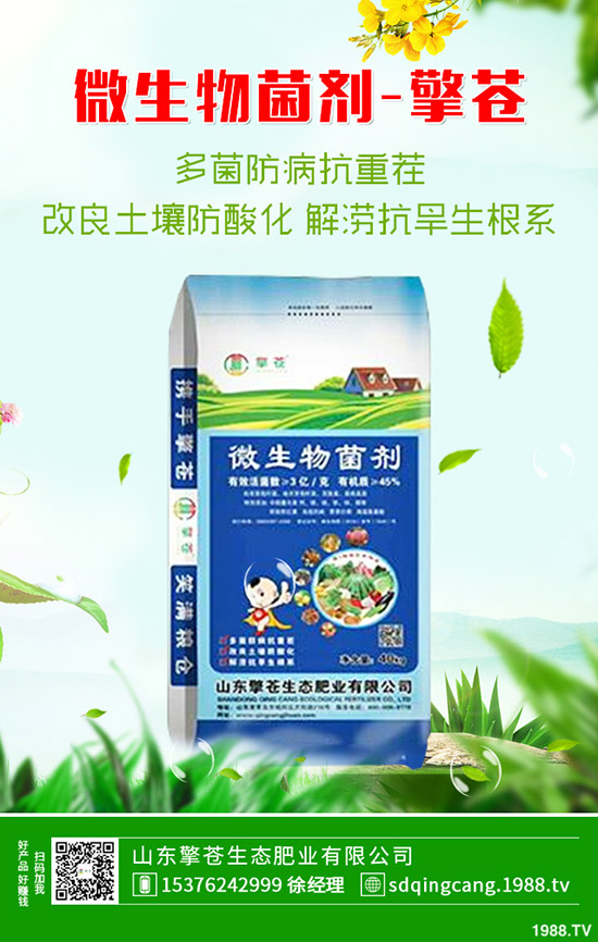     2020��1��1�ն��@��������һ�㣡�r��(w��n)��ƫ���\����