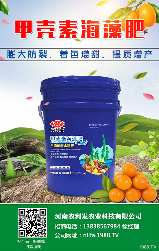 �t���c�uѪ������Щ�^(q��)�e�����߹�Ч�÷��cʹ�ý���