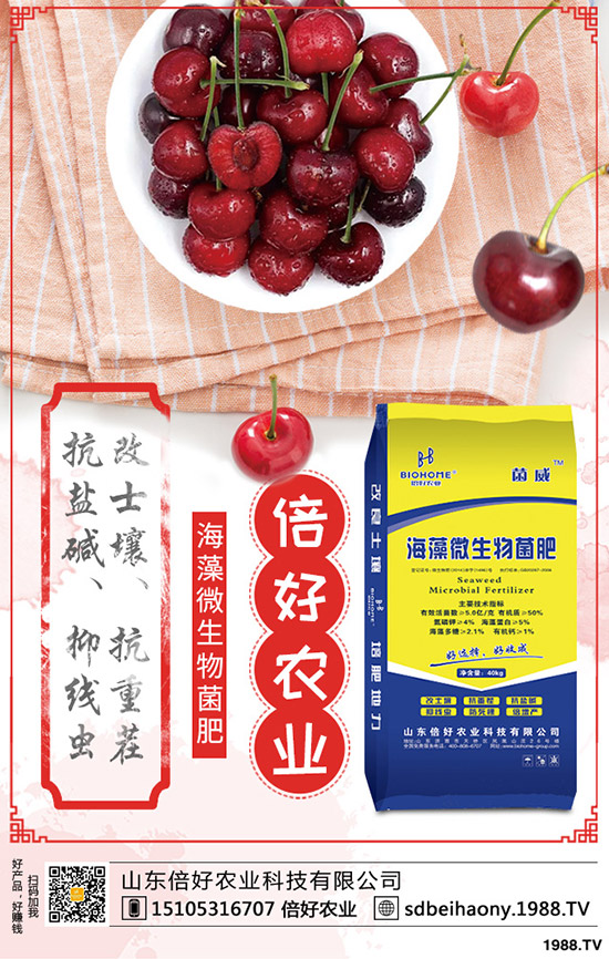     2020���؃r(ji��)��Ҫ�ϝq���������������߄�(sh��)������