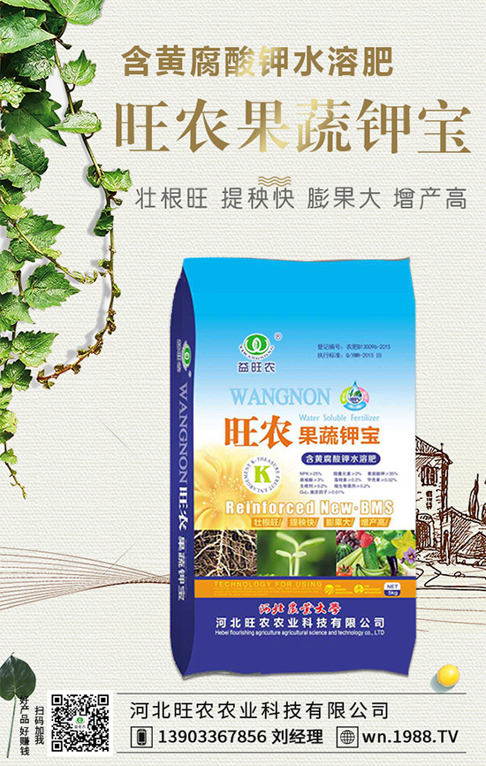 郁金香生長習性有哪些?郁金香養(yǎng)護要點!