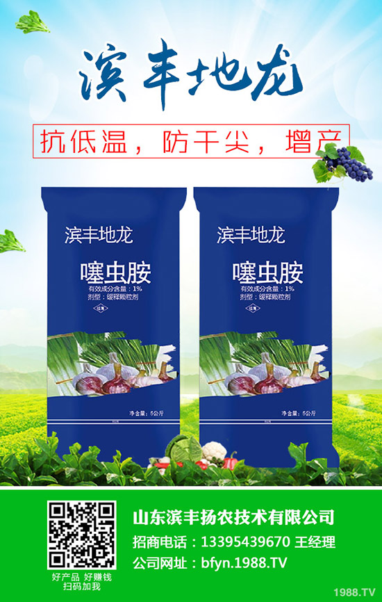 2020大棚草莓價格多少錢一斤?草莓價格爆低原因有哪些?