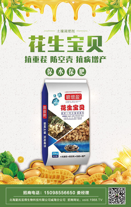     2020���������@�r�����ݱP�������@�r�������