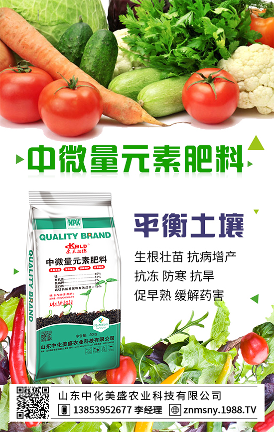 冬季草莓怎么管？冬季草莓管理措施！