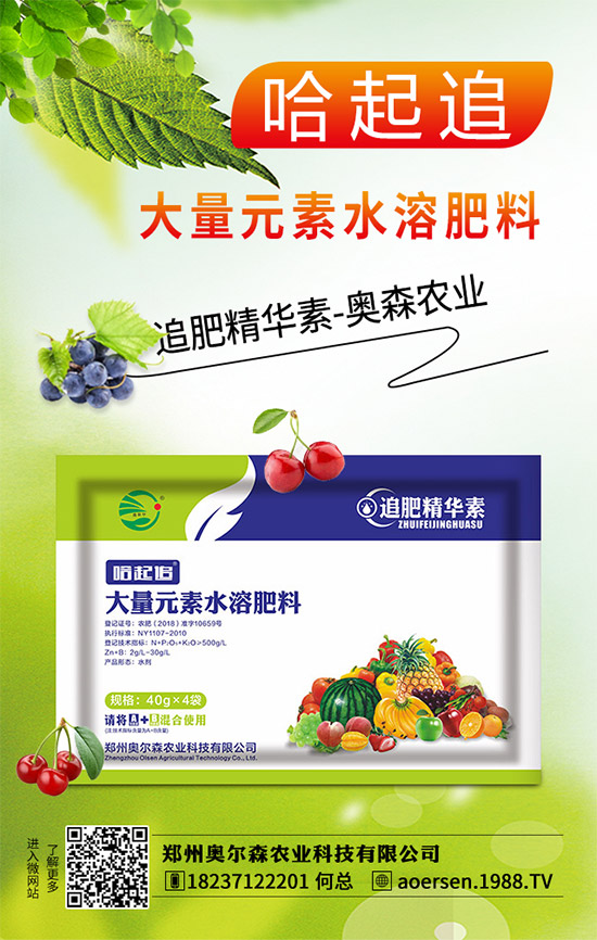 郁金香該如何種植?郁金香的種植管理方案