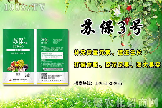 大棚黃瓜應(yīng)該在什么時候施肥?大棚黃瓜底肥施用的3個誤區(qū)!
