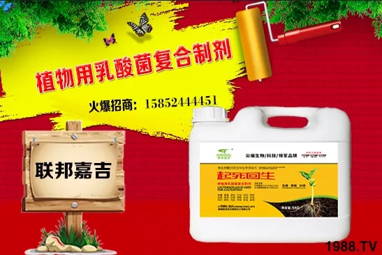 ���[���L�l������Щ�����[������c���＾������