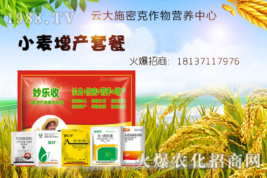 小麥播種后不出苗?是什么原因造成的?