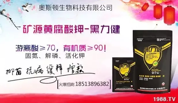 ����ʲô�r(sh��)�g���N��ע�����(xi��ng)����Щ�����ش���Nֲ�r(sh��)�g����