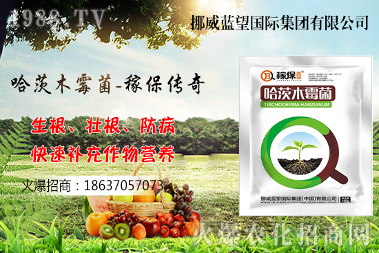 收獲后的小麥如何儲(chǔ)存呢?小麥儲(chǔ)藏關(guān)鍵點(diǎn)管理!