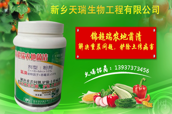 洋蔥如何施肥?洋蔥施肥方法及播種時間!