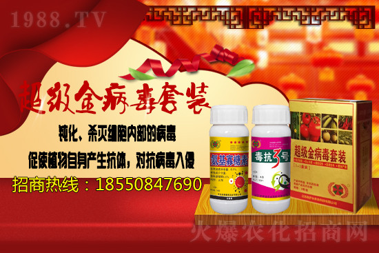 2020.11.17日國內(nèi)大豆價格信息