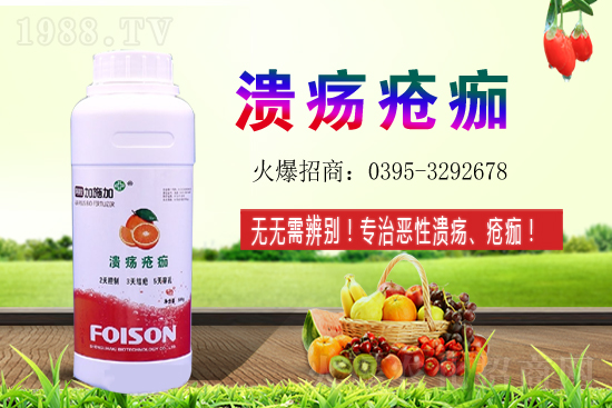 2021年石榴種植收益如何?石榴的利潤(rùn)前景怎么樣?