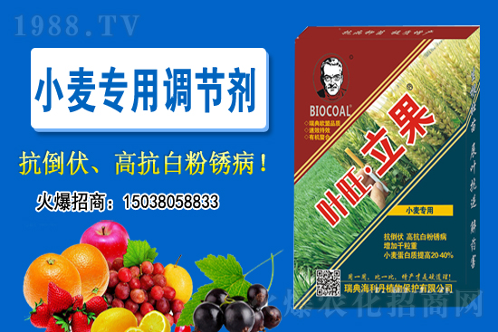 С���r(ji��)���(hu��)����(hu��)�ϝq��2020-11-26С���r(ji��)������