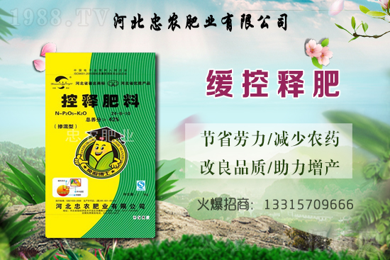 大蒜的產(chǎn)地在哪?種一畝地大蒜要用多少蒜種?畝產(chǎn)量是多少斤?