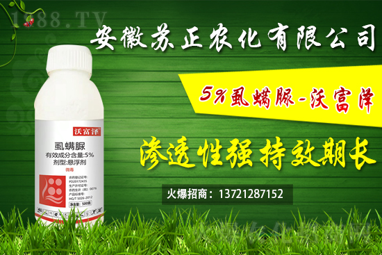 ʭ���嚢�xЧ��������ʭ��������ú͏���ʹ�÷�����