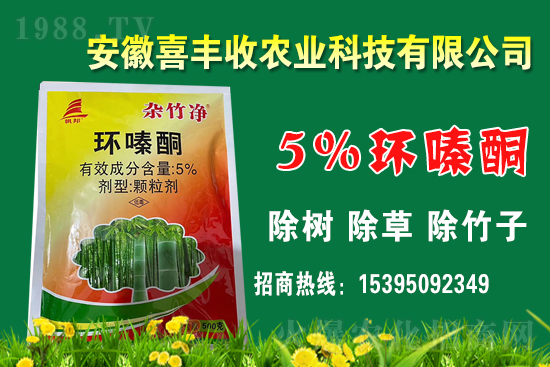 1 環(huán)嗪酮的作用機(jī)理有哪些?該如何復(fù)配?環(huán)嗪酮適合作物及應(yīng)用范圍!