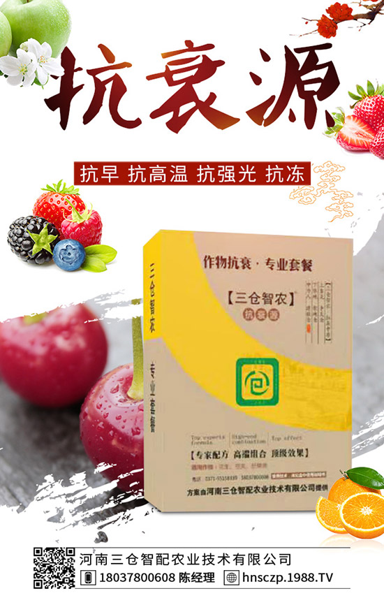 ���·��m�ϷNֲʲô�߲������·��߲˷Nֲע�����(xi��ng)��