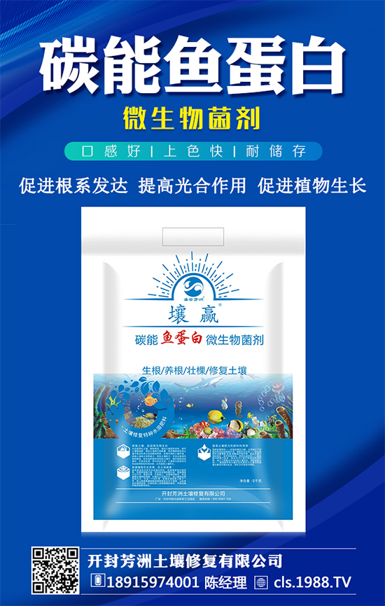 豆角種植時(shí)間,豆角生長(zhǎng)過程的管理要點(diǎn)!