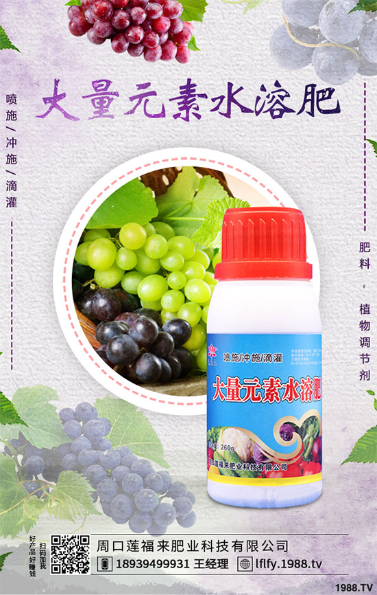 �Q��ԓ��ô�N���Q���ķNֲ���g(sh��)����������Ҫ�c